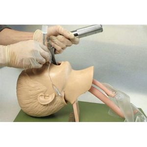 Child Trachea Intubation Model AM-1A