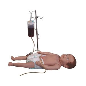 Infant Full Body Venipuncture Model AM-20