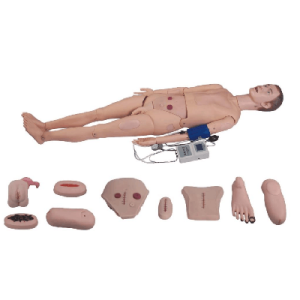 Full-functional Nursing Manikin (Blood Pressure Simulator) AM-2300