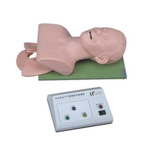 Electronic Trachea Intubation Training Model AM-3