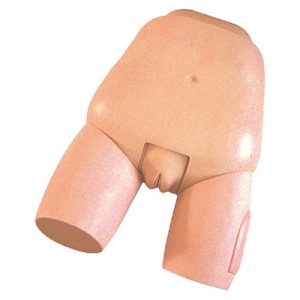 Fundus of Uterus Exam & Evaluation Model AM-31