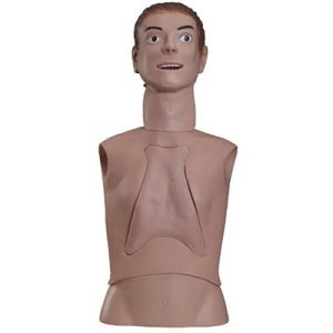 Nasogastric Feeding and Trachea Intubation Care Training Simulator AM-80