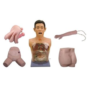 Basic Nursing Manikin AM-A