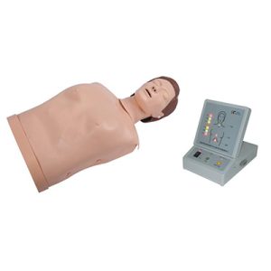Half Body CPR Training Manikin AM-CPR200S