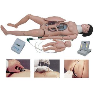 Delivery and Maternal and Neonatal Emergency Simulator AM-F55