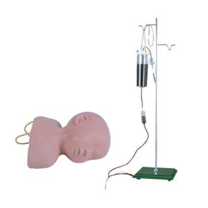 Infant Scalp Venipuncture Training Model AM-G1