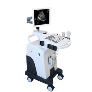 Digital Ultrasound Scanner AM-K2 B/W