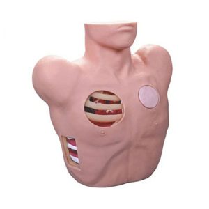 Thoracentesis Drainage Model AM-L66