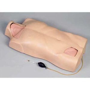 Full-function Central Venous Injection Torso Model AM-L68A L68A