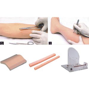 Comprehensive Surgical Skill Training Model AM-LV10