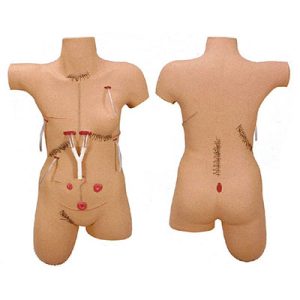 Surgical Suture and Bandage Model AM-LV18