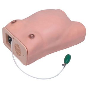 Maternity Examination Model AM-1111