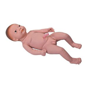 Infant with Umbilical Cord AM-Y3
